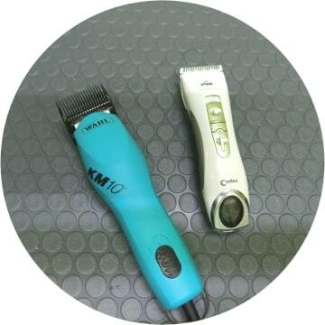 <span style="font-weight: bold;">стрижка кошек</span><br>